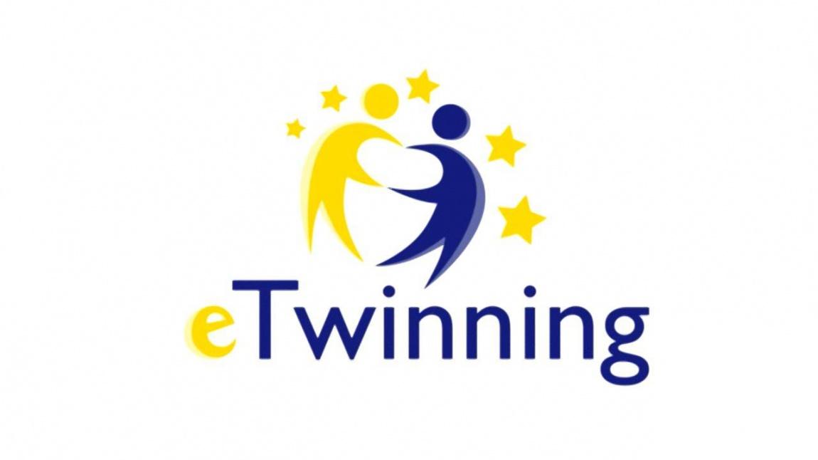 E twinning logo anketi
